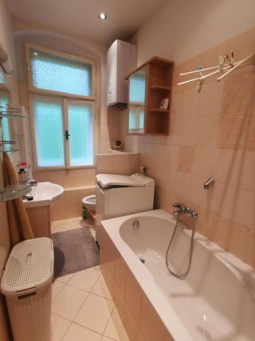 Ubytovani Ester - Utulny Byt V Lazenskem Centru Karlovych Varu Se Zahradkou Apartment Karlovy Vary Exterior foto